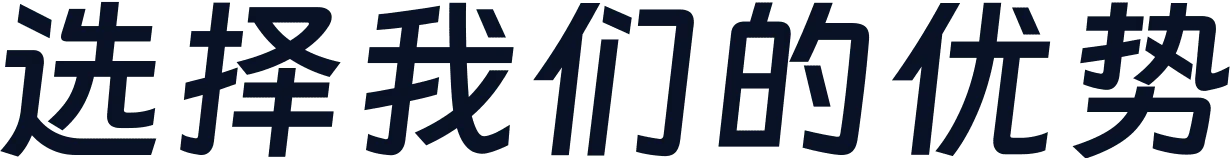 选择我们的优势